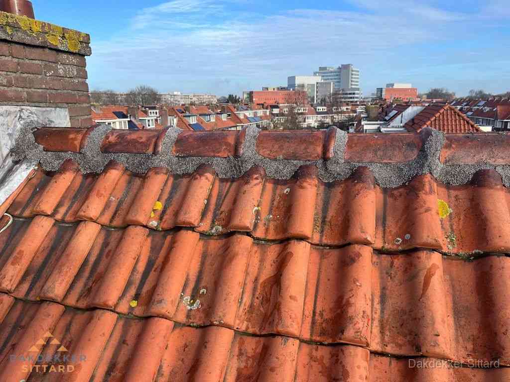 Nieuw bitumen plat dak met uitzicht over woonwijk in Sittard