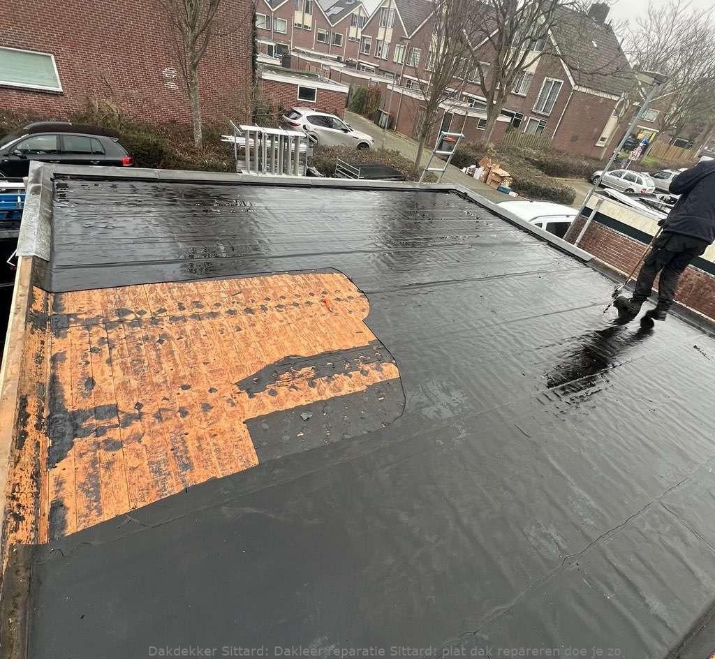 Dakleer Reparatie Sittard