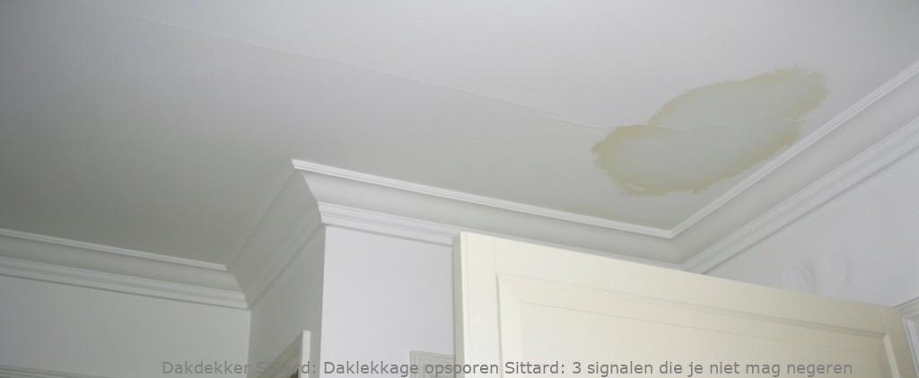 Daklekkage Opsporen Sittard 1