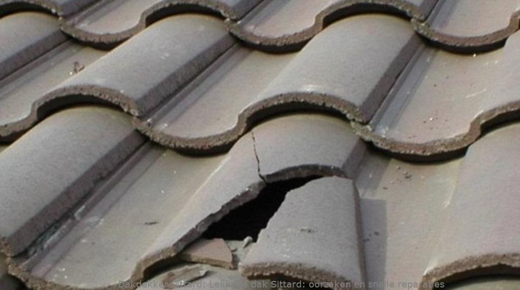 Lekkage Schuin Dak Sittard