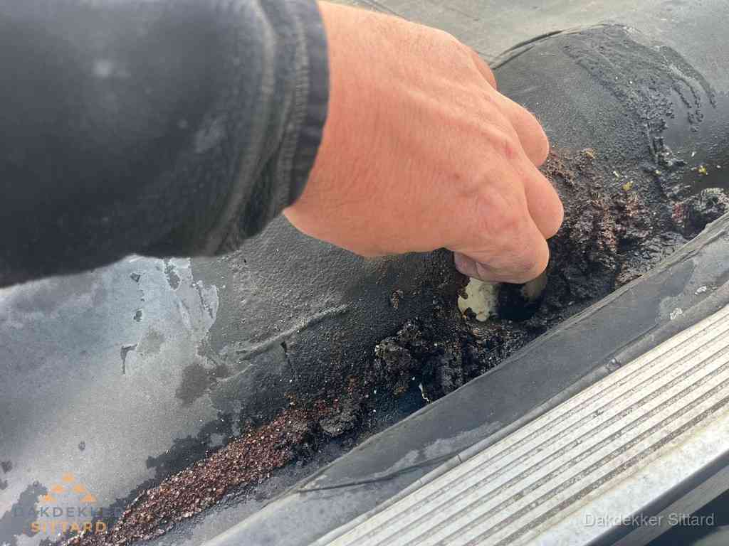 Plat Dak Reparatie Sittard