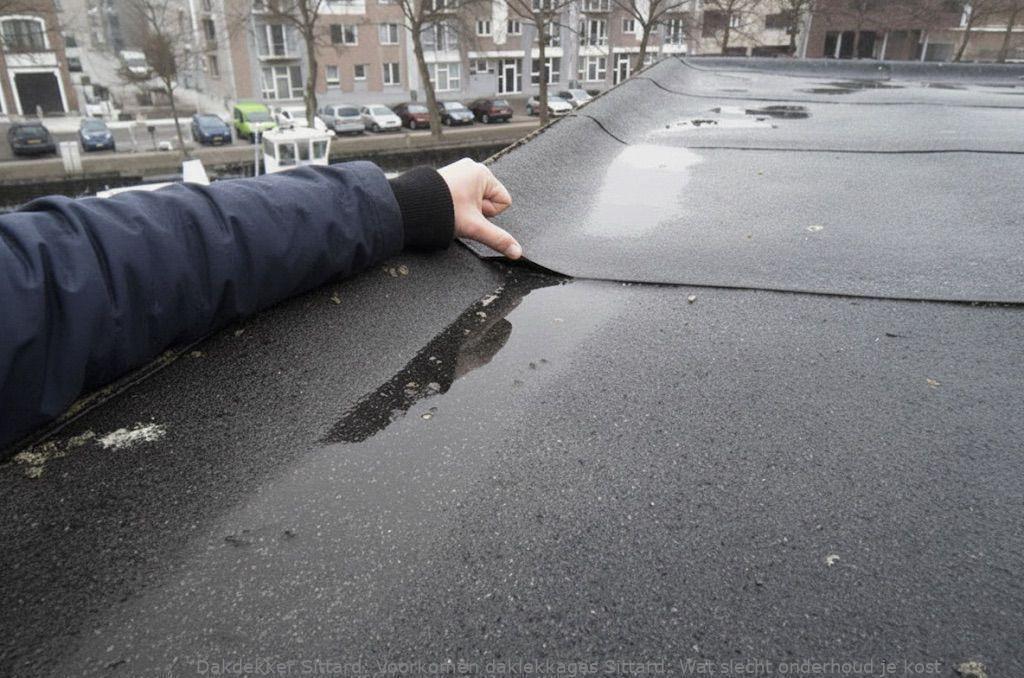Voorkomen Daklekkages Sittard